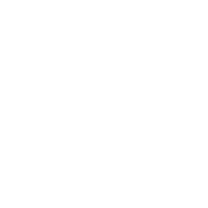 Skope Entertainment Logo