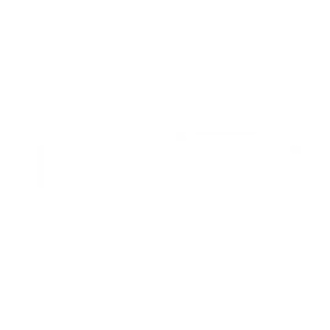 The Mike Wagner Show Logo